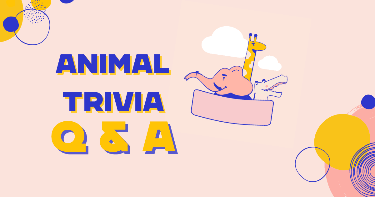 Animal Trivia Questions Blog Quizado Com   Animal Trivia 252335b2a3 